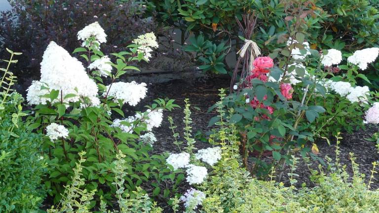 foto35