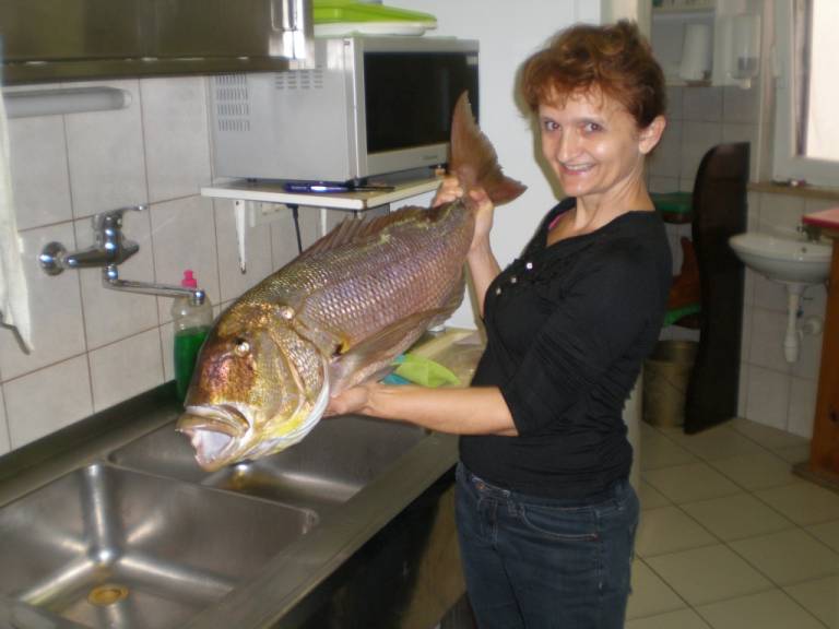 foto11
