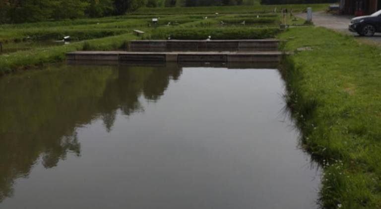 foto14