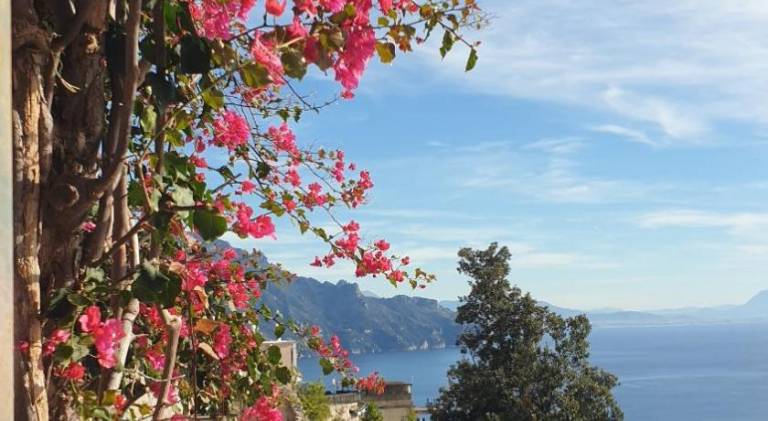 Rental apartment | Dogs allowed in Agerola