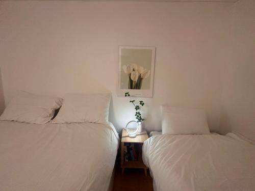 foto14