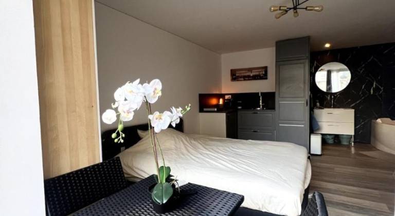 Apartment with jacuzzi in Laxou