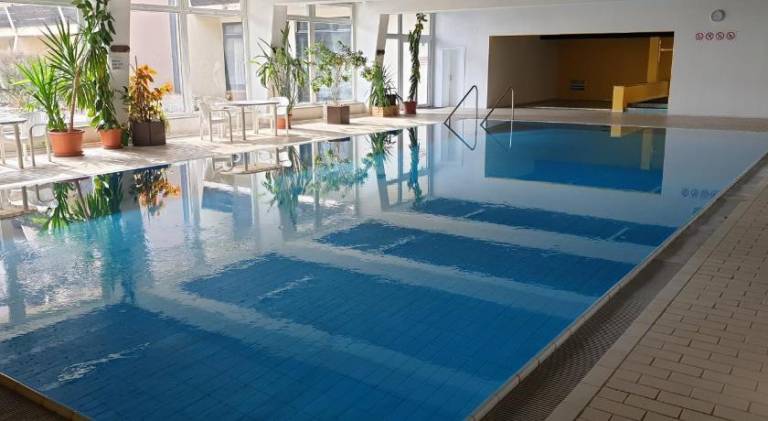 Holiday apartment with pool | Pets are welcome in Neukirchen