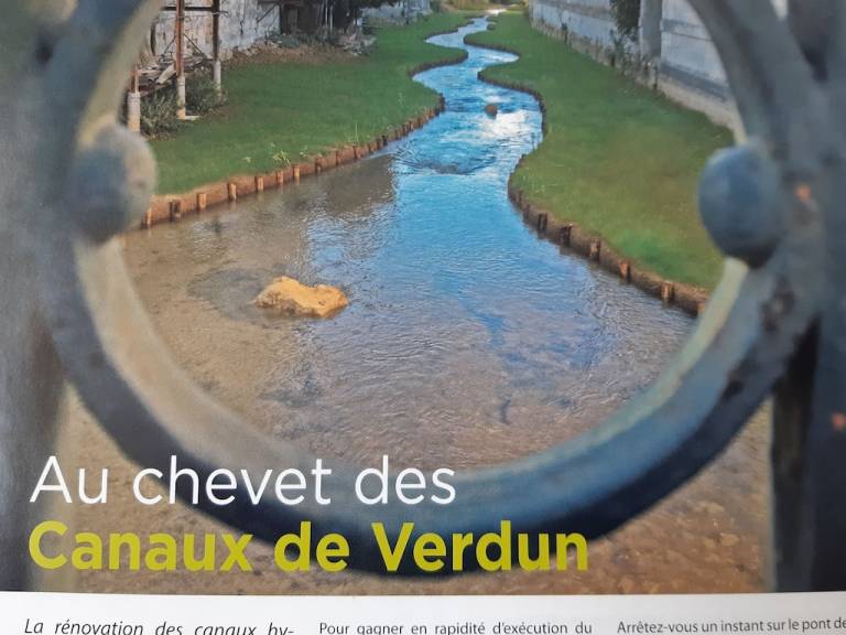 Apartment  Verdun
