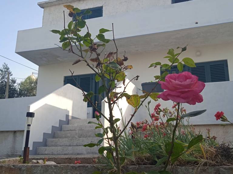 Holiday apartment with terrace, barbeque & yard — photo 5