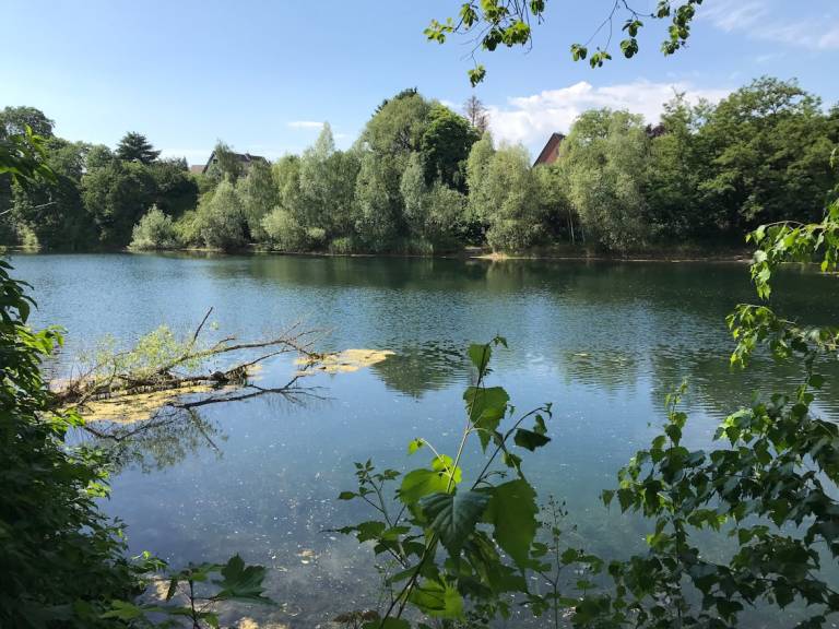 foto14