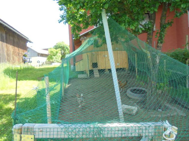 foto29