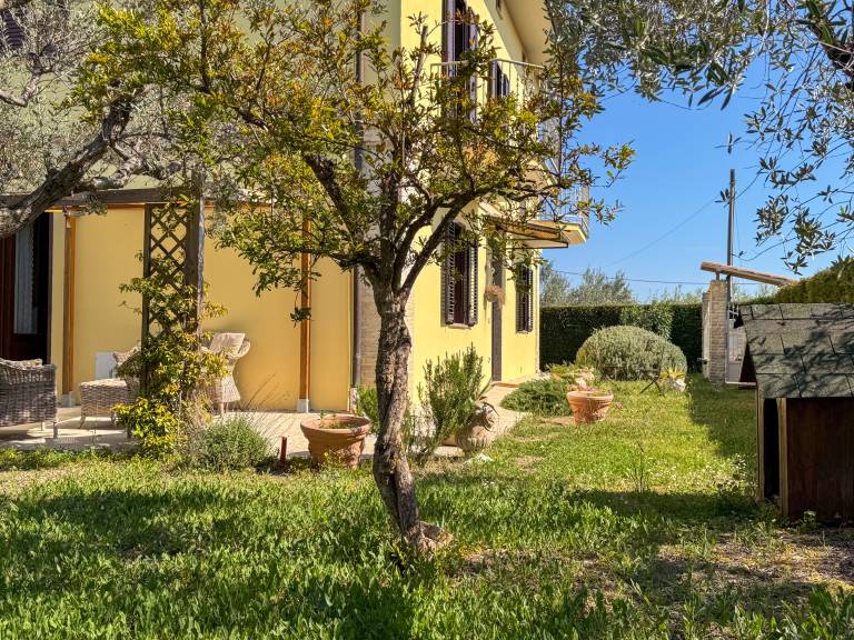 foto30