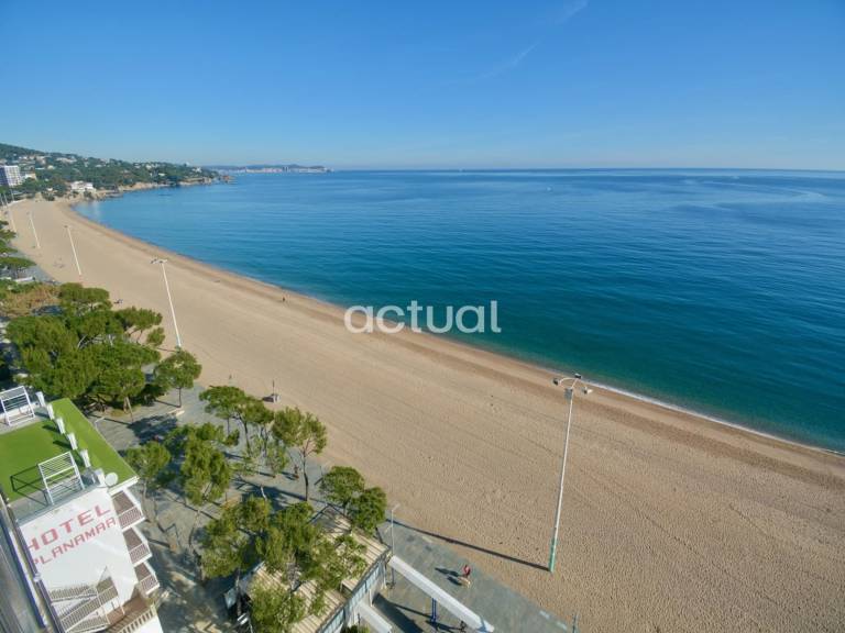 Nice studio | Next to the beach | Pets allowed — photo 3