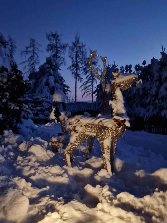 foto21