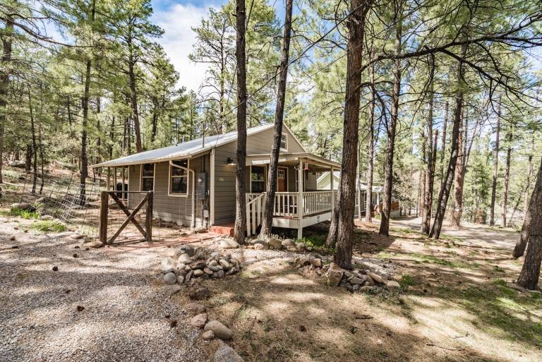 Cottage with yard & grill | Mountain view — photo 4