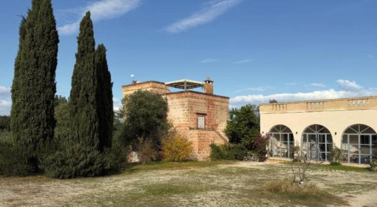 Rental apartment with 1 room for 4 persons in Fasano