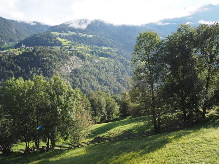 Bei Herrmann s — photo 3