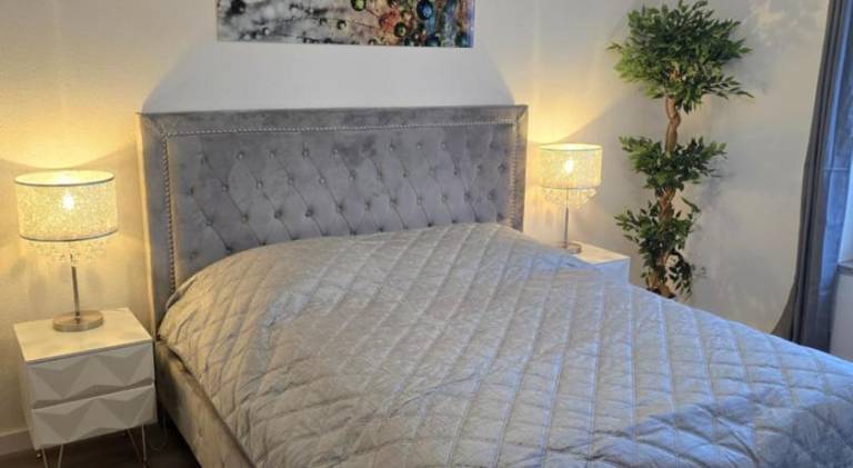 Beautiful apartment with sauna | Pets are welcome in Dresden