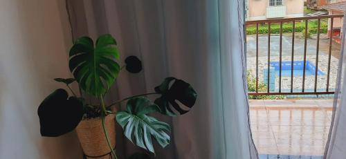 foto14