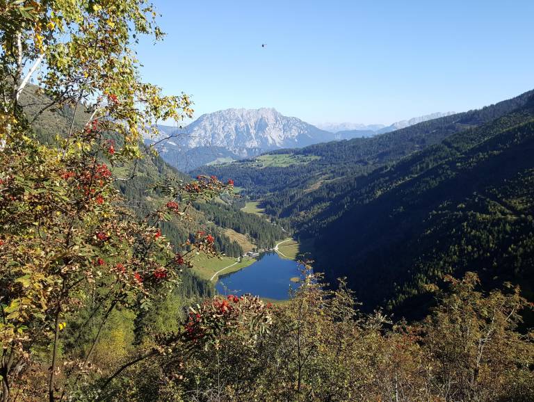 foto45