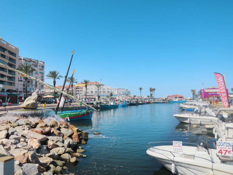 Apartment  Saint-Cyprien
