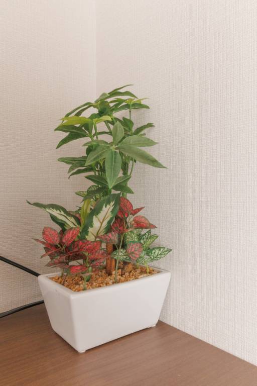 foto14