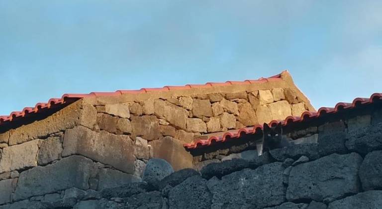 Casa  Madalena