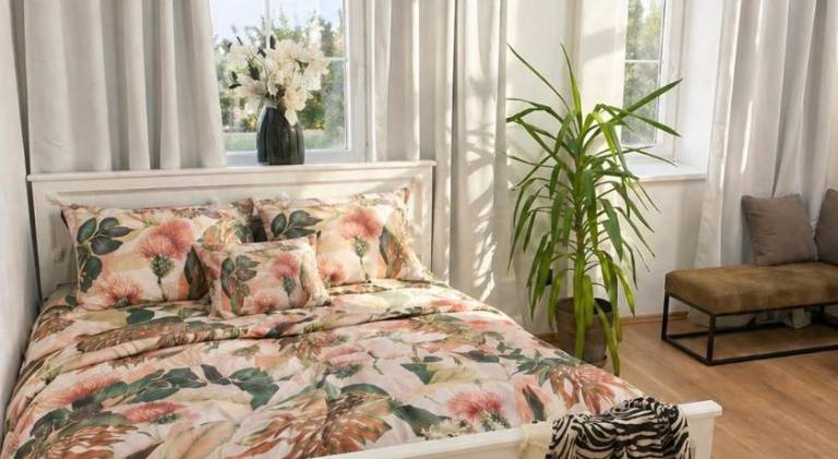 Apartman Trznice in Olomouc
