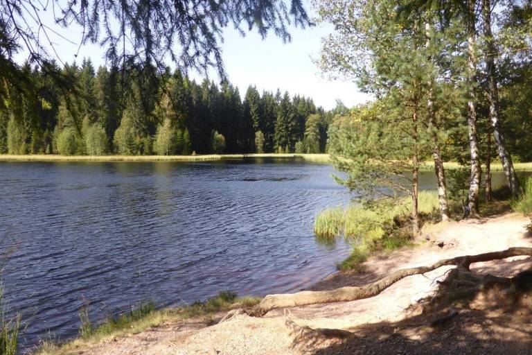 foto24