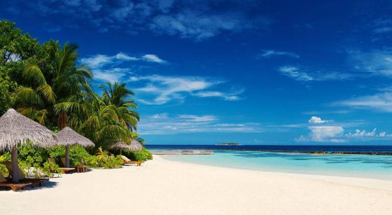 Corales Punta Cana — photo 3