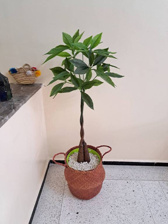foto14