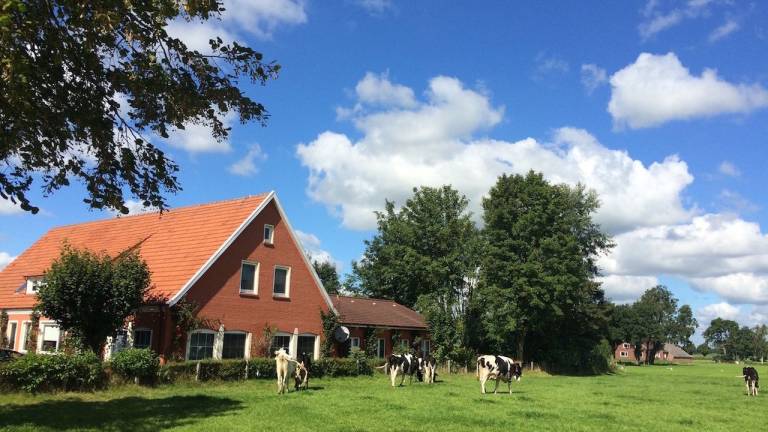 Ferienhaus  Rhauderfehn