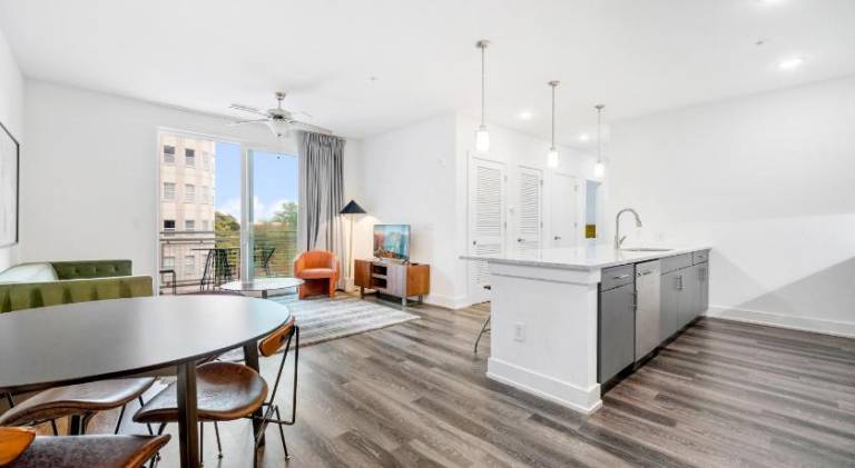 Ample serviced apartment with terrace | Near Bank of America Plaza | Pet-friendly — photo 4