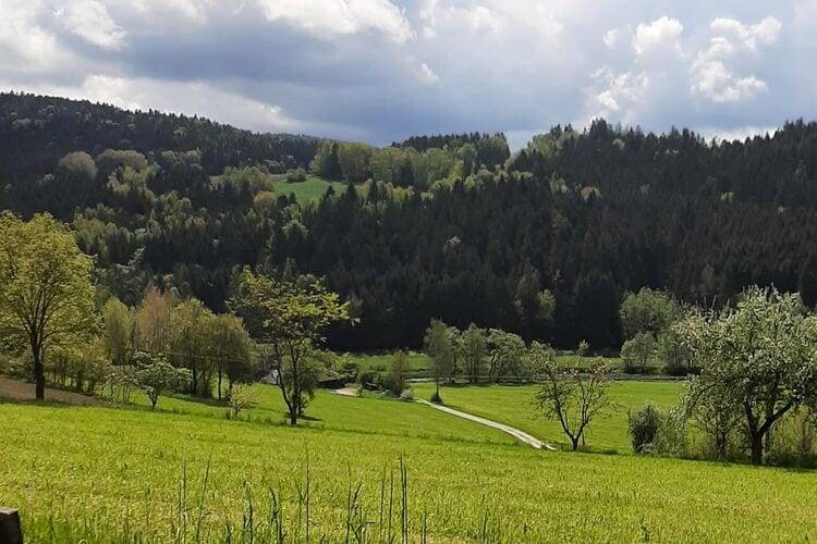 foto22