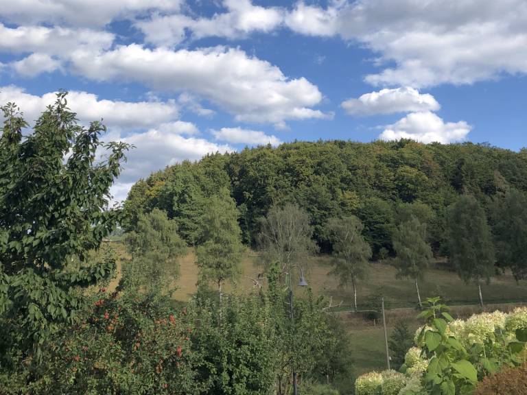 foto24