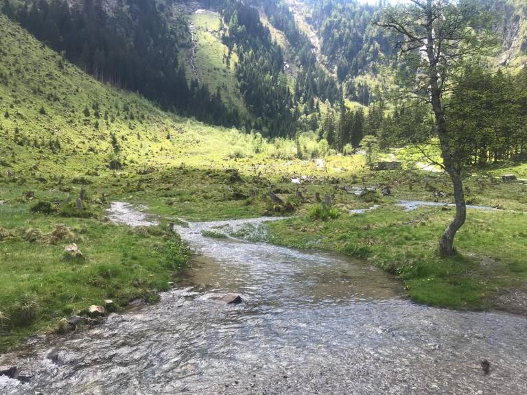 foto41