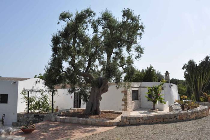 Villa Agreste: SOLE — photo 4