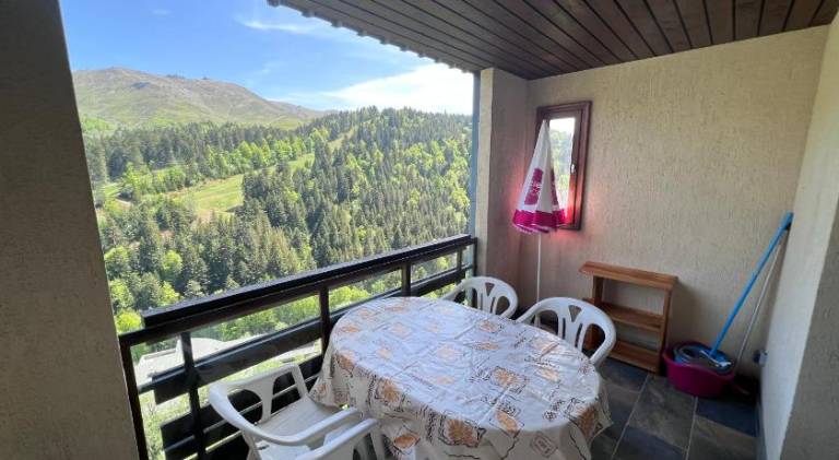 Holiday apartment | Close to the ski | Pets allowed in Saint-Jacques-des-Blats