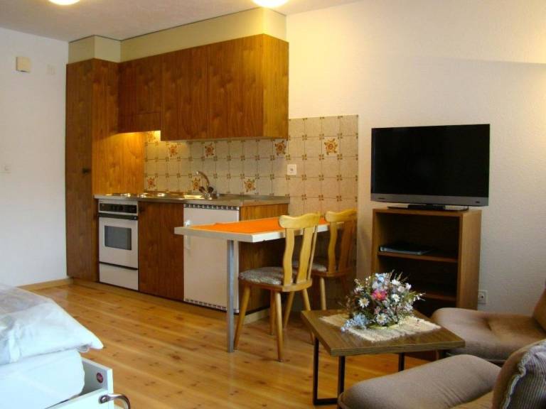 Ferienwohnung mit Hund in Saas-Fee f&uuml;r max. 2 Personen