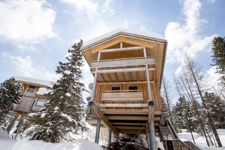 Chalet Turrach
