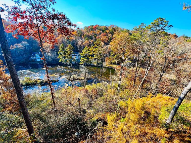 Cabin Ellijay