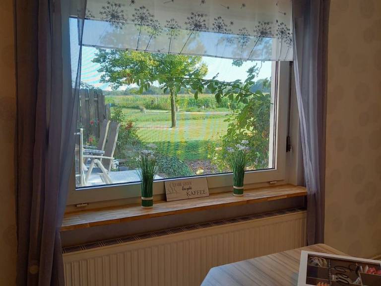 foto34