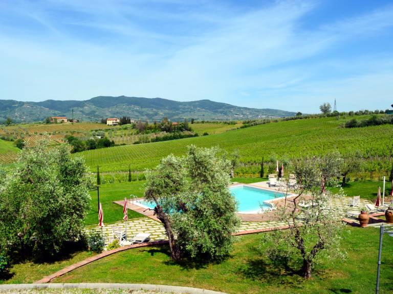 Rental apartment with garden, barbeque & pool | Nature view — photo 4