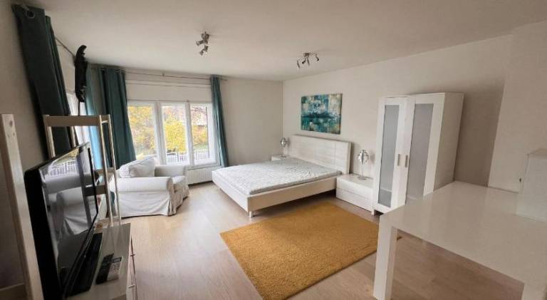 Pleasant holiday apartment | Pet-friendly in Timisoara
