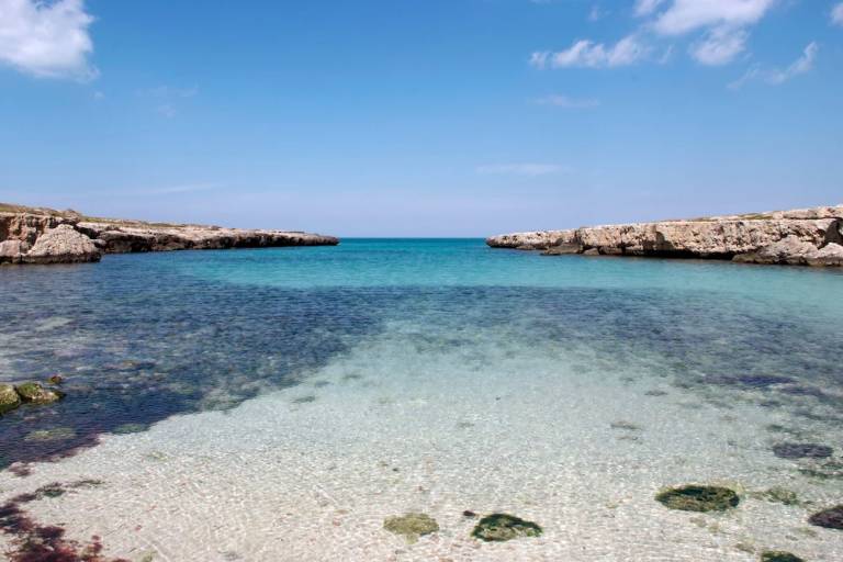 House  Monopoli
