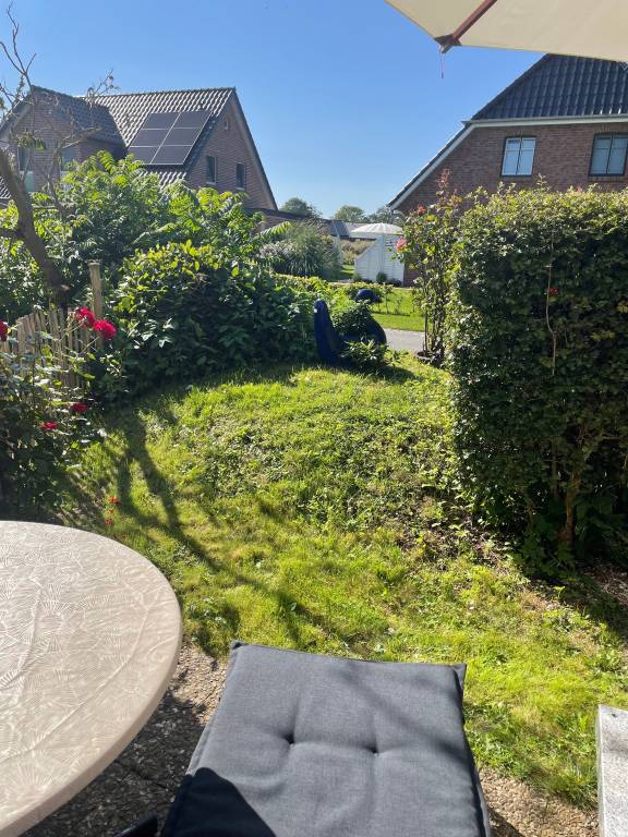 foto20