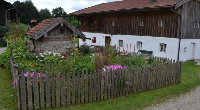 foto17