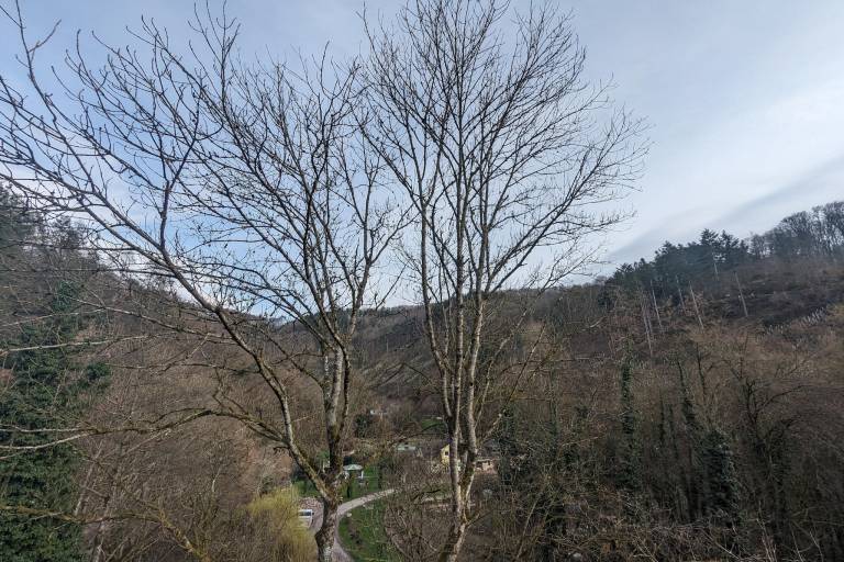 foto15