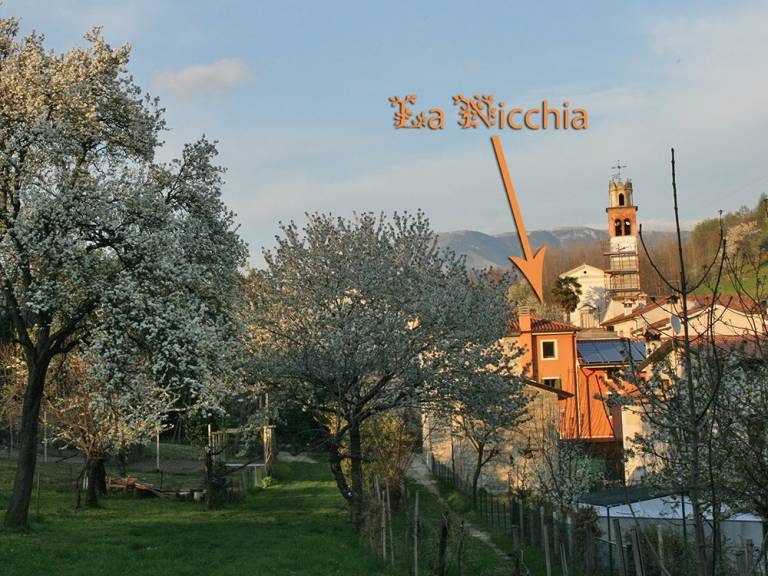 foto9