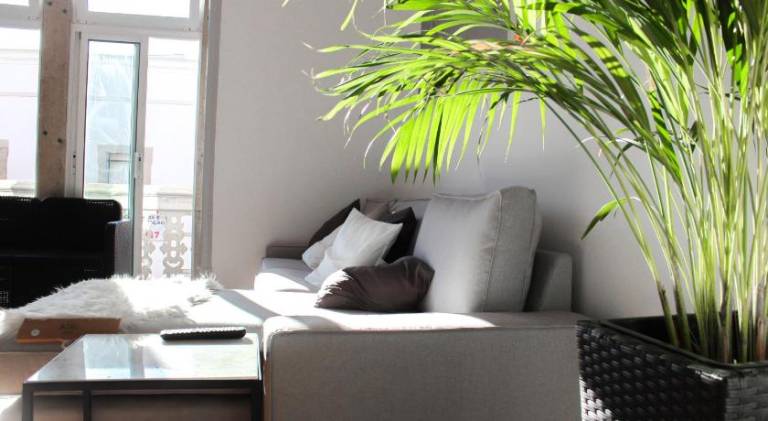 Atelier 3 - Boutique Rooms in Loulé