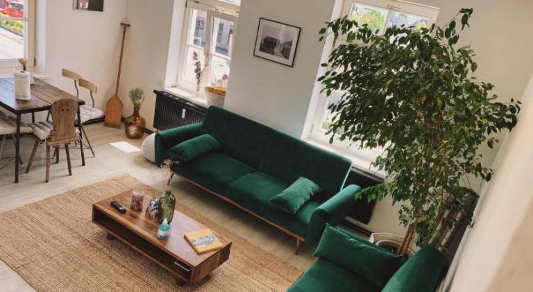 Nice holiday apartment | Pets are welcome — photo 2