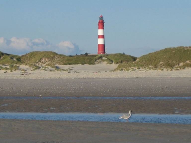 foto16