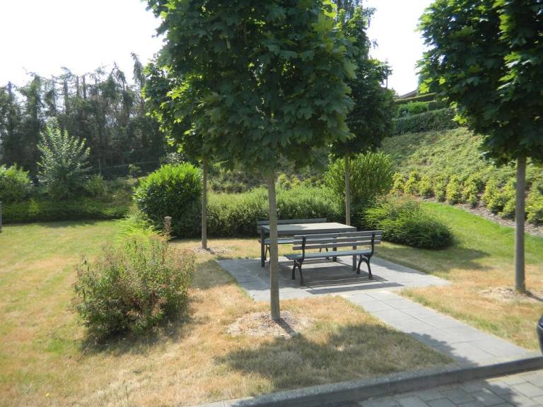 foto12