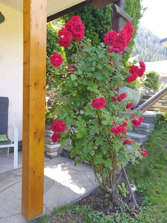 foto21